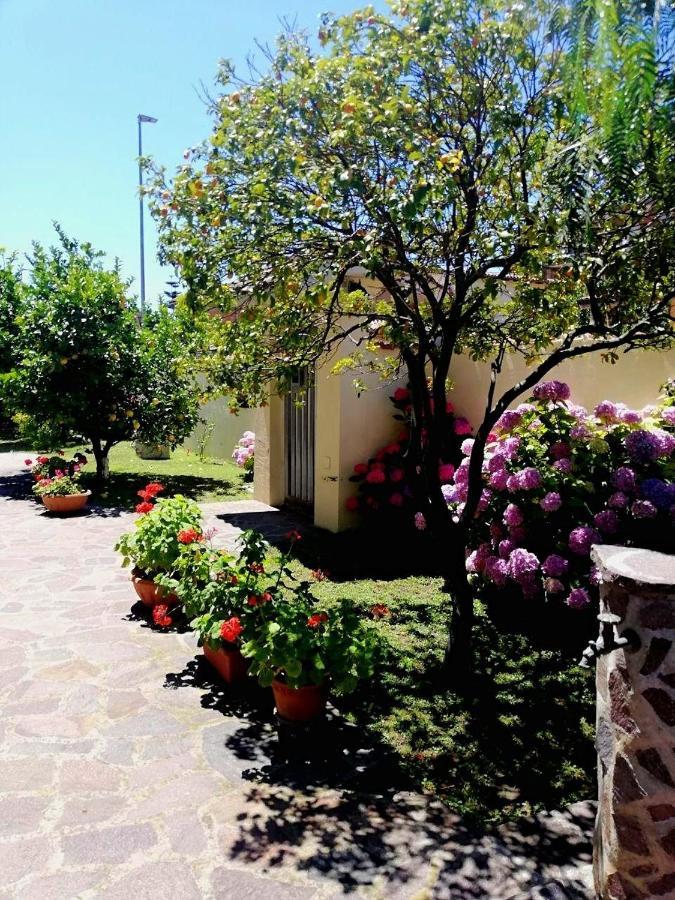 A casa di Iole Apartment Fiumicino Bagian luar foto